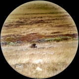 Blick durchs Spektiv