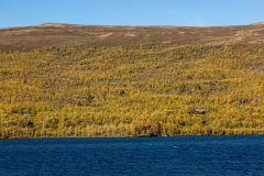 Was ein Gelb-Blaukontrast