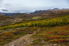 Blick von der Hochebene hinab ins Grimsetal.