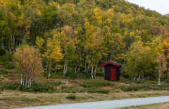 Ein Toilettenhäuschen in der Wildnis