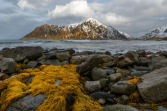 Strandfarben bei Flakstad