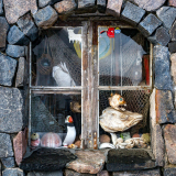 "Schau"-fenster