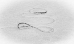 Tauschlingen im Schnee (2)