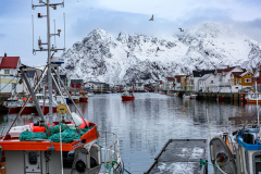 Blick über den Hafen nach Norden