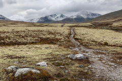 Der andere Weg in Richtung Rondvasnet und mein Weg