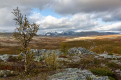 Blick vom Kåsen Richtung Nordosten