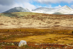 Das Hochland des Parks: Steine, Felsen, Moos und Berge