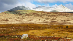 Das Hochland des Parks: Steine, Felsen, Moos und Berge
