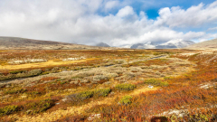 Rondane Hochebene im Nachmittagslicht
