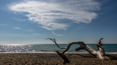 Der Hundestrand von Bibbona südlich von Cecina ist auch für Menschen schön