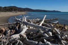 Strand am Parco Regionale della Maremma