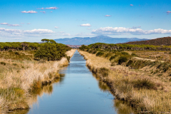 Auch das ist die Maremma