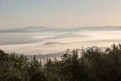 Morgennebel liegt im Tal östlich von Casale Marritimo ...
