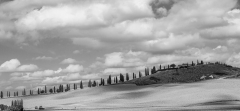 Himmel, Erde und Zypressenallee