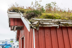 Ein schönes grünes Dach